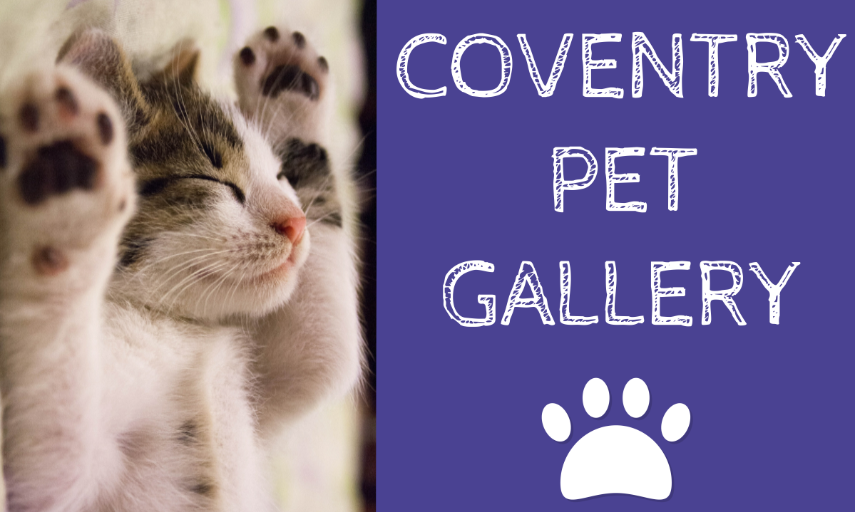 Home Coventry Public Library